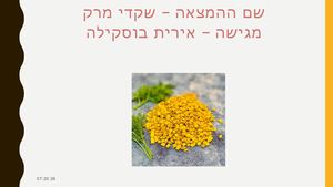 המצאות ששינו את העולם