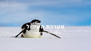 מערכת העיכול