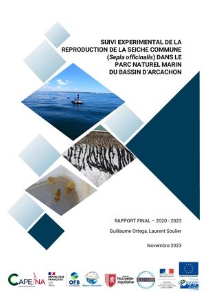 Suivi reproduction seiche 2020-2023_Rapport final_PNMBA/CAPENA