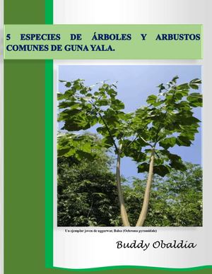 Especies De áRboles Comunes En Kuna Yala (2)