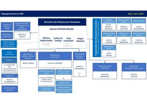 Organigramme Drh-18-10-2023