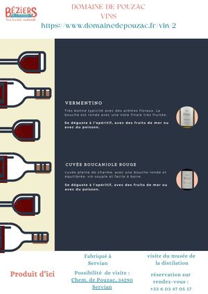 Fiche produit - Domaine De Pouzac Vins