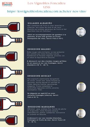 Fiche produit - Les Vignoles Foncalieu Vins