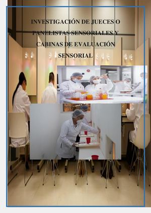 Investigacion De Jueces