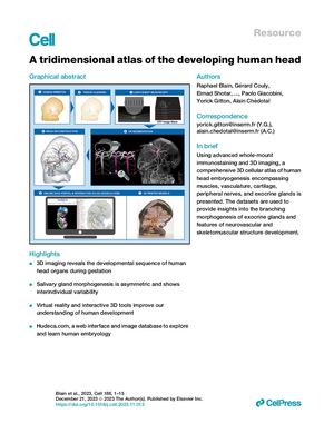 A Tridimensional Atlas Of The Developing Human Head