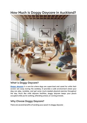 How Much Is Doggy Daycare In Auckland