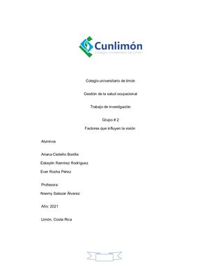Grupo 2factores Que Influyen La Visión
