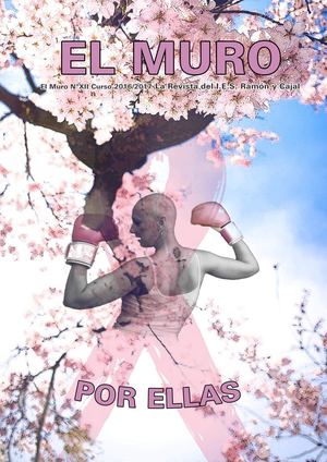 REVISTA EL MURO CURSO 16/17