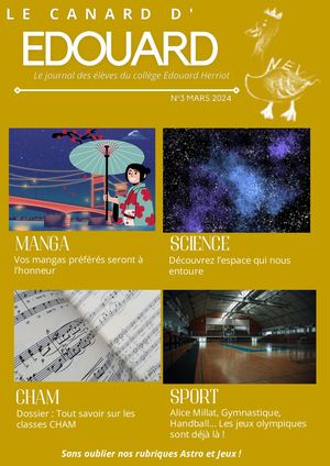 Canard d'Edouard N°3