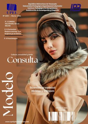 Modelo De Consulta Revista Digital