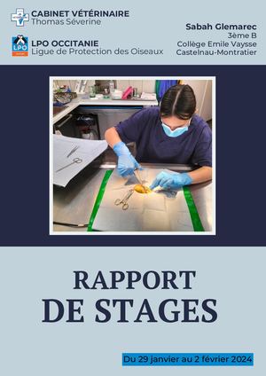 Rapport De Stages Sabah Glemarec 2