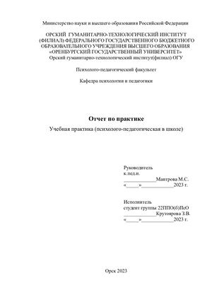 Отчет по практике в школе