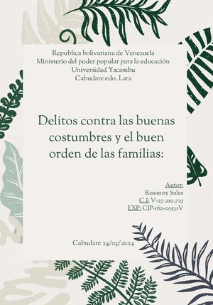 Delitos Contra Las Buenas Costumbres Rosi