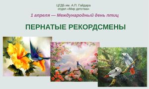 Рекорды пернатых