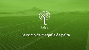 V2 Presentación Maf Roda Procesamiento De Palta