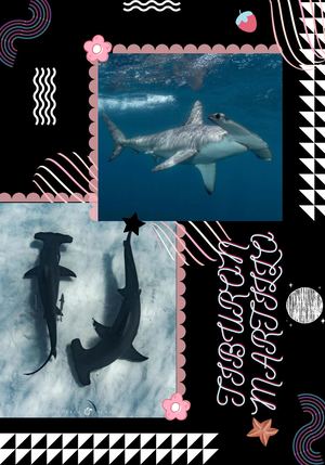 Tiburón Martillo✿