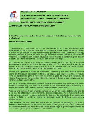 Santos Casimiro C Ensayo Sobre La Importancia De Los Entornos Virtuales