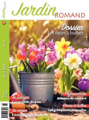 124500711 Ayer Jardin Romand No 272 2024 Web