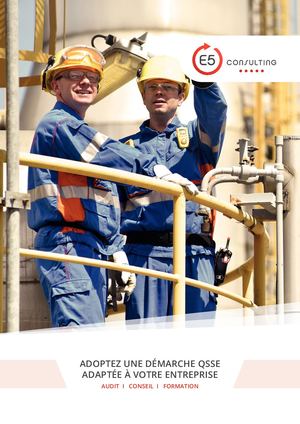 E5 Consulting • Plaquette Générale