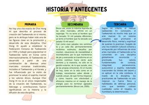 Organizador Grafico