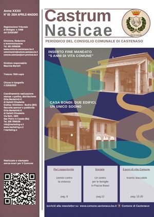 Castrum Nasicae 02