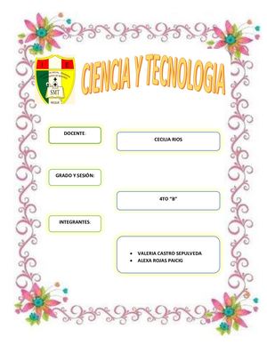 Informe De Indagacion Valeria