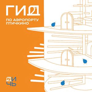 Гид по аэропорту Птичкино