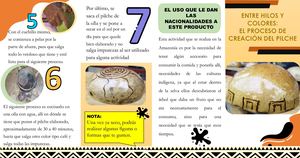 Folleto (1) (1)