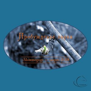 Пробуждение парка Монтедор