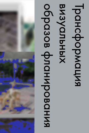 трансформация визуальных образов фланирования