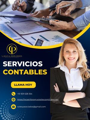 Blue Modern Tax Prep Services Poster