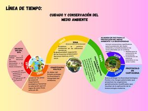Línea De Tiempo del cuidado y conservación del  medio ambiente