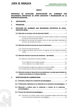 Anexo I Protocolo NEAE