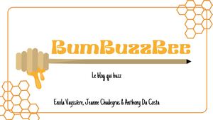 BumBuzzBee