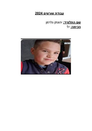 יהונתן גלרמן - עבודת שורשים