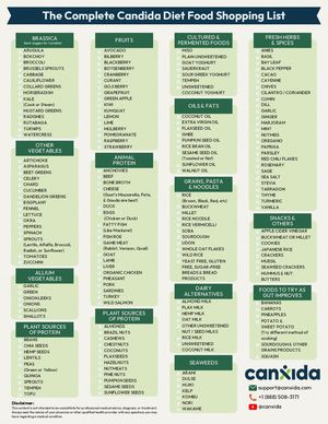 The Essential Candida Cleanse Shopping List Nourish & Heal