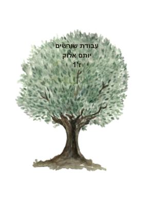 יותם אלוק תבנית עבודת שורשים
