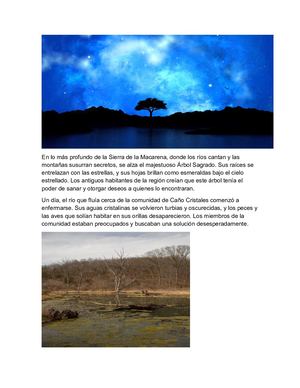 El ÁRbol Sagrado De La Sierra De La Macarena