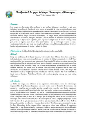 Identificación De Los Grupos De Hongos Macroscopicos Y Microscopicos