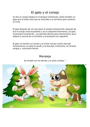 El Gato Y El Conejo