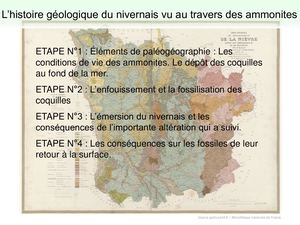 Conference Ammonites V11