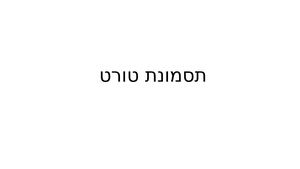 אביתר לרנר