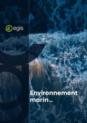 Environnement Marin - Egis - Français - 2023
