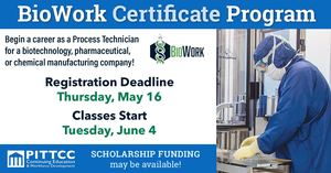 Bio Work Flyer Summer 2024