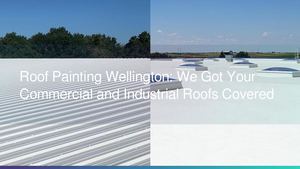 Roof Painting Wellington? We're the roof painters you can trust!