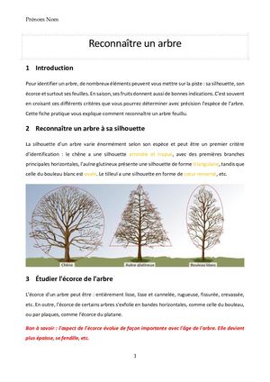 Reconnaître Un Arbre