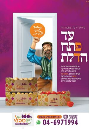 צפת בתנופה - גיליון 439 כ"ו אדר ב' תשפ"ד 5.4.2024