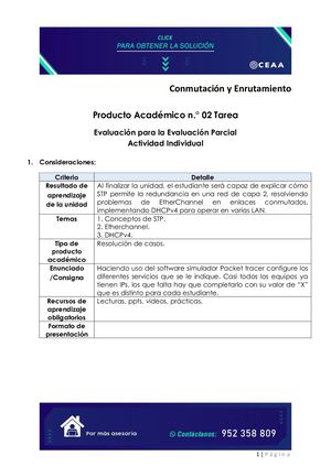 Conmutación Y Enrutamiento PA2