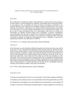 Informe Hongos Adriana