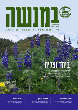 במנשה גיליון 7